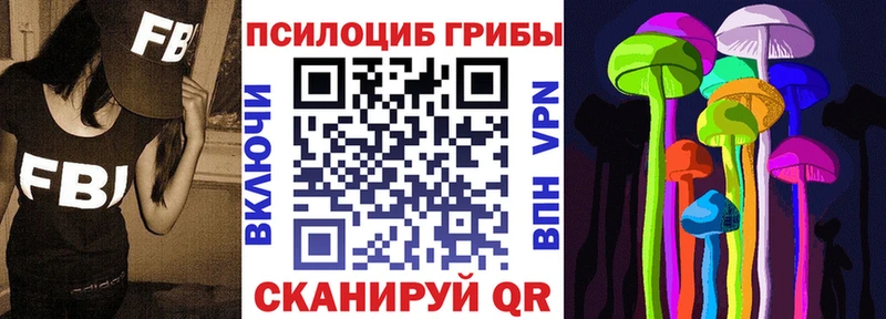 купить  цена  Северобайкальск  Галлюциногенные грибы Cubensis 