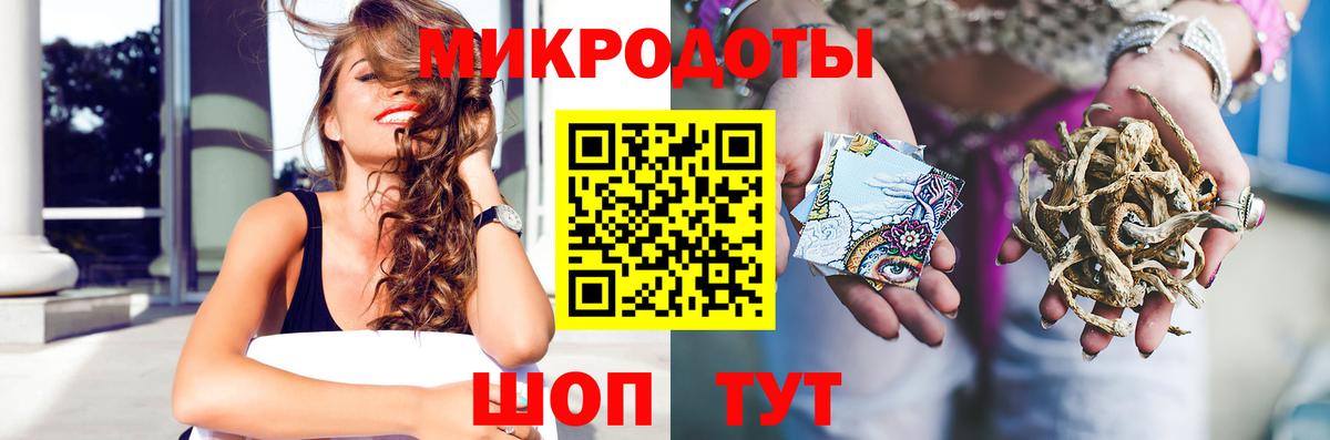 Псилоцибиновые грибы MAGIC MUSHROOMS Северобайкальск