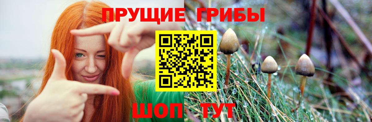 Галлюциногенные грибы ЛСД  Псилоцибиновые грибы Magic Shrooms  Северобайкальск  Вход с VPN 